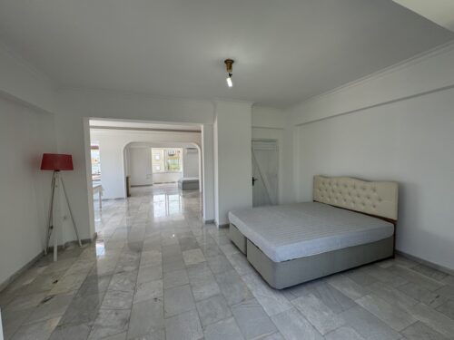 Недвижимость в Меркез